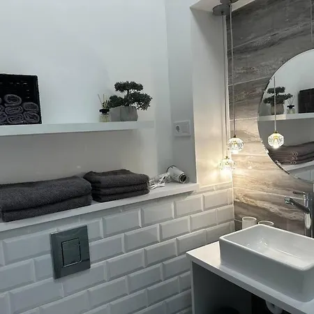 Luxury Downtown Apartment